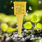 Sprinkler & Rain Gauges - 10 Pack